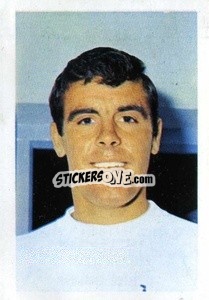 Figurina Mike England - The Wonderful World of Soccer Stars 1968-1969
 n. 274 - FKS