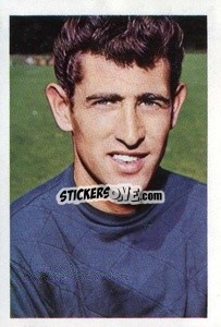 Sticker Peter Bonetti - The Wonderful World of Soccer Stars 1968-1969
 n. 33 - FKS