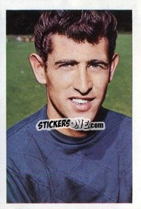 Cromo Peter Bonetti - The Wonderful World of Soccer Stars 1968-1969
 - FKS