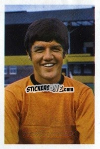Sticker Peter Knowles - The Wonderful World of Soccer Stars 1968-1969
 n. 321 - FKS