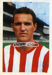 Cromo Terry Paine - The Wonderful World of Soccer Stars 1968-1969
 n. 237 - FKS
