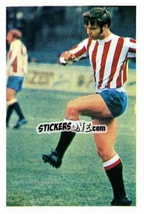 Sticker Alex Elder - The Wonderful World of Soccer Stars 1969-1970
 n. 249 - FKS