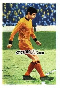 Sticker David Woodfield - The Wonderful World of Soccer Stars 1969-1970
 - FKS