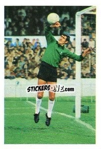 Cromo Peter Bonetti - The Wonderful World of Soccer Stars 1969-1970
 n. 33 - FKS