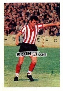 Sticker Terry Paine - The Wonderful World of Soccer Stars 1969-1970
 - FKS