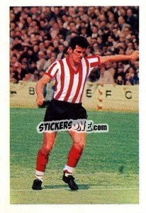 Sticker Terry Paine - The Wonderful World of Soccer Stars 1969-1970
 n. 237 - FKS