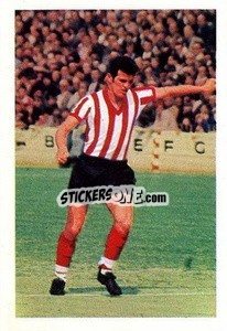 Sticker Terry Paine