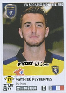 Cromo Mathieu Peybernes - FOOT 2012-2013 - Panini