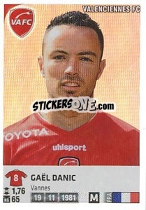Cromo Gael Danic - FOOT 2012-2013 - Panini