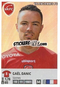 Figurina Gael Danic - FOOT 2012-2013 - Panini