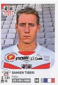 Sticker Damien Tiberi - FOOT 2012-2013 - Panini