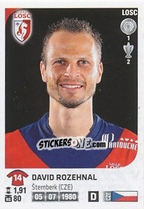 Sticker David Rozehnal - FOOT 2012-2013 - Panini