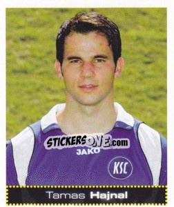 Sticker Tamas Hajnal - German Football Bundesliga 2007-2008 - Panini