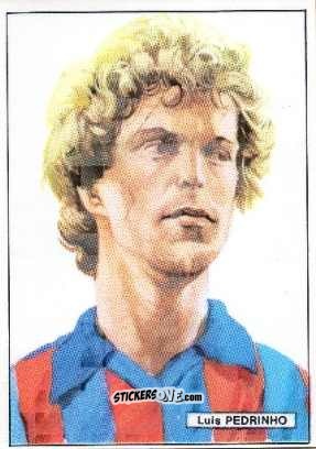 Figurina Pedrinho - Calcio Scudetti 1983-1984
 n. 13 - Edis