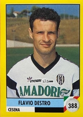 Cromo Flavio Destro