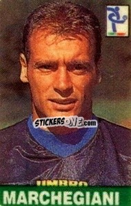 Sticker Marchegiani - Campionato di calcio Serie A 1997-1998
 n. 107 - dolber
