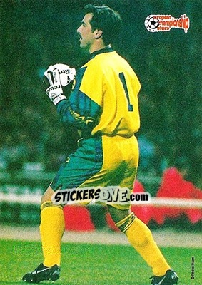 Sticker David Seaman - European Championship Stars 1996 - Plascot