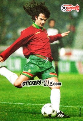 Sticker Fernando Couto - European Championship Stars 1996 - Plascot