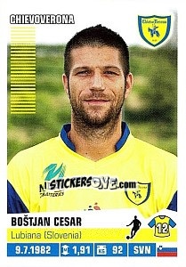Sticker Boštjan Cesar - Calciatori 2012-2013 n. 112 - Panini