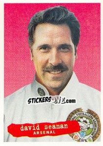 Sticker David Seaman - The Official PFA Collection 1997 n. 224 - Panini