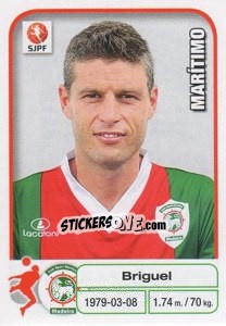 Cromo Briguel - Futebol 2012-2013 - Panini