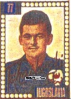 Cromo Željko Cajkovski - Craques do Campeonato Mundial de Futebol 1950
 n. 77 - A. AMERICANA
