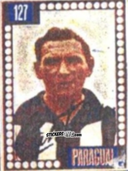 Figurina Castor Cantero