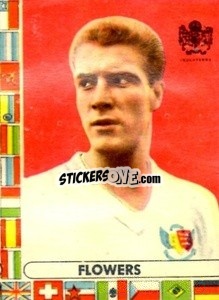Sticker Flowers - Futebol Mundial 1962
 - VECCHI