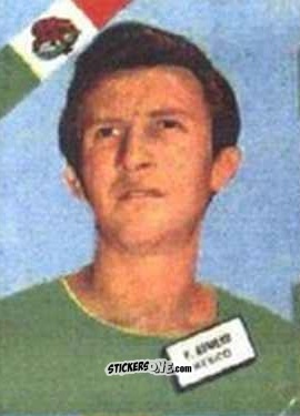Sticker Romero - Campeonato Mundial de Futbol 1962
 n. 302 - DISGRA