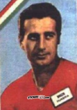 Sticker Boszik - Campeonato Mundial de Futbol 1962
 n. 277 - DISGRA