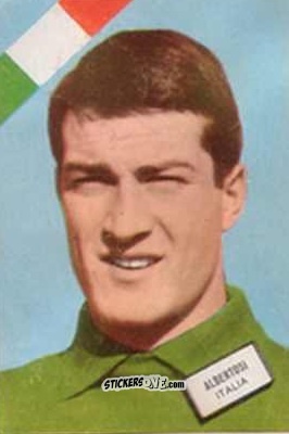 Cromo Albertosi - Campeonato Mundial de Futbol 1962
 n. 71 - DISGRA