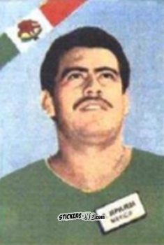 Sticker Sepúlveda - Campeonato Mundial de Futbol 1962
 n. 292 - DISGRA