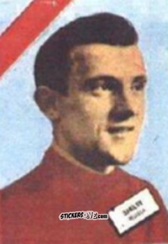 Sticker Danilov - Campeonato Mundial de Futbol 1962
 n. 235 - DISGRA