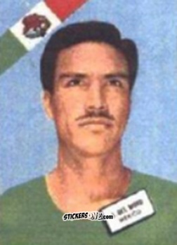 Figurina Del Muro - Campeonato Mundial de Futbol 1962
 n. 295 - DISGRA