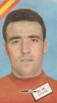 Cromo Del Sol - Campeonato Mundial de Futbol 1962
 n. 16 - DISGRA