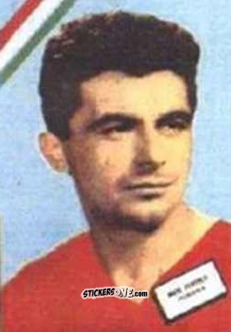 Cromo Fenyvesi - Campeonato Mundial de Futbol 1962
 n. 285 - DISGRA