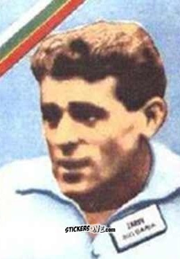 Sticker Zarov - Campeonato Mundial de Futbol 1962
 n. 324 - DISGRA