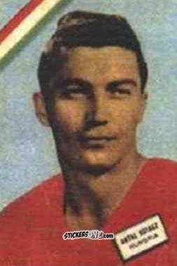 Sticker Kotasz - Campeonato Mundial de Futbol 1962
 n. 280 - DISGRA