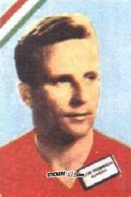 Cromo Friedmanszki - Campeonato Mundial de Futbol 1962
 n. 281 - DISGRA