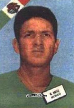 Sticker Ortiz - Campeonato Mundial de Futbol 1962
 n. 293 - DISGRA