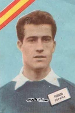 Sticker Paquito - Campeonato Mundial de Futbol 1962
 n. 22 - DISGRA