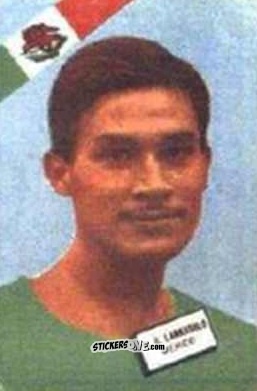 Figurina Larrasolo - Campeonato Mundial de Futbol 1962
 n. 299 - DISGRA