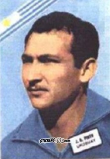 Sticker Pinto - Campeonato Mundial de Futbol 1962
 n. 156 - DISGRA