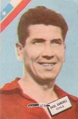Sticker Raúl Sánchez - Campeonato Mundial de Futbol 1962
 n. 61 - DISGRA