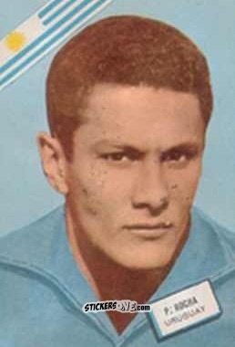 Figurina Rocha - Campeonato Mundial de Futbol 1962
 n. 150 - DISGRA