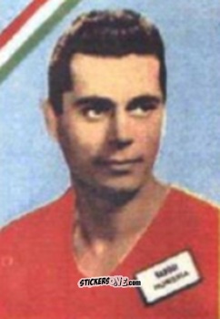 Sticker Szigetti - Campeonato Mundial de Futbol 1962
 n. 272 - DISGRA