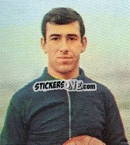 Sticker Adelardo - Coppa Del Mondo 1966
 - EPOCA