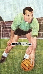 Sticker Springett - Coppa Del Mondo 1966
 n. 105 - EPOCA