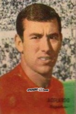 Sticker Adelardo - Campeonato Mundial de Fútbol 1966
 n. 127 - DISGRA