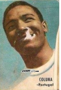Cromo Coluna - Campeonato Mundial de Fútbol 1966
 n. 217 - DISGRA